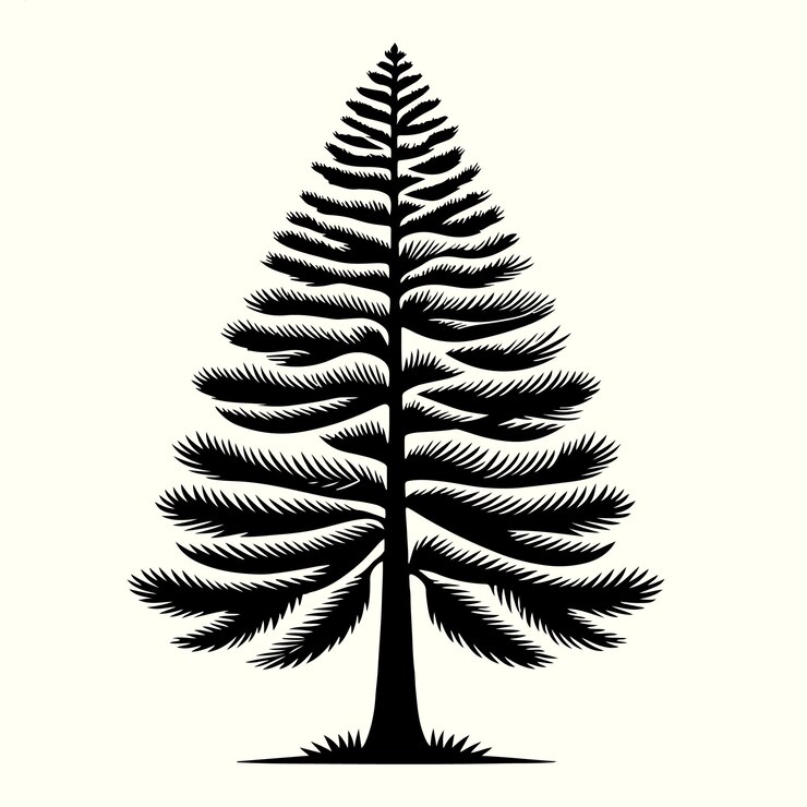 Vector pine tree silhouette vector illustration