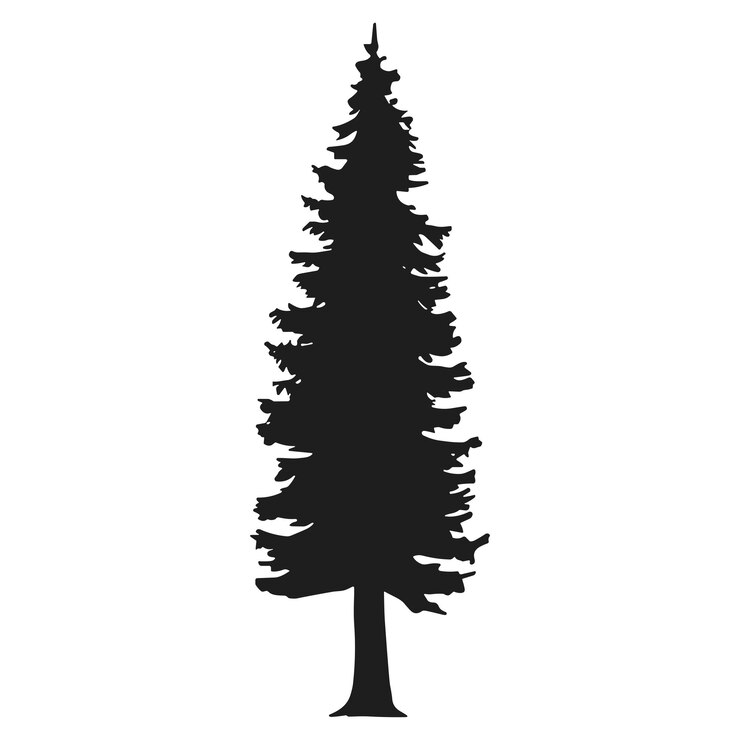 Vector a pine tree silhouette vector
