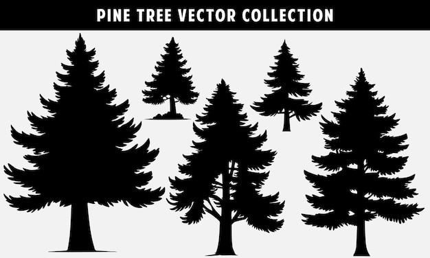 Pine tree vector collection silhouette for graphics design and website