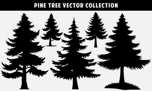 Pine tree vector collection silhouette for graphics design and website