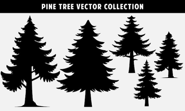 Pine tree vector collection silhouette for graphics design and website