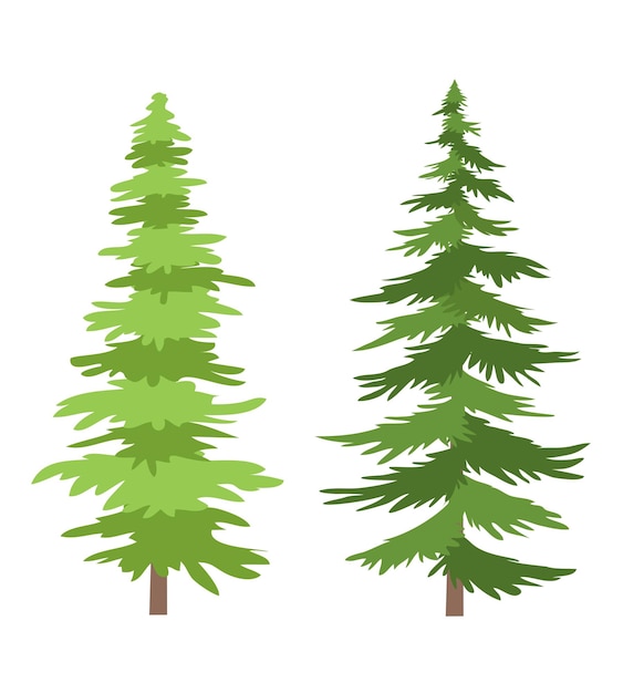 Pine tree vector design