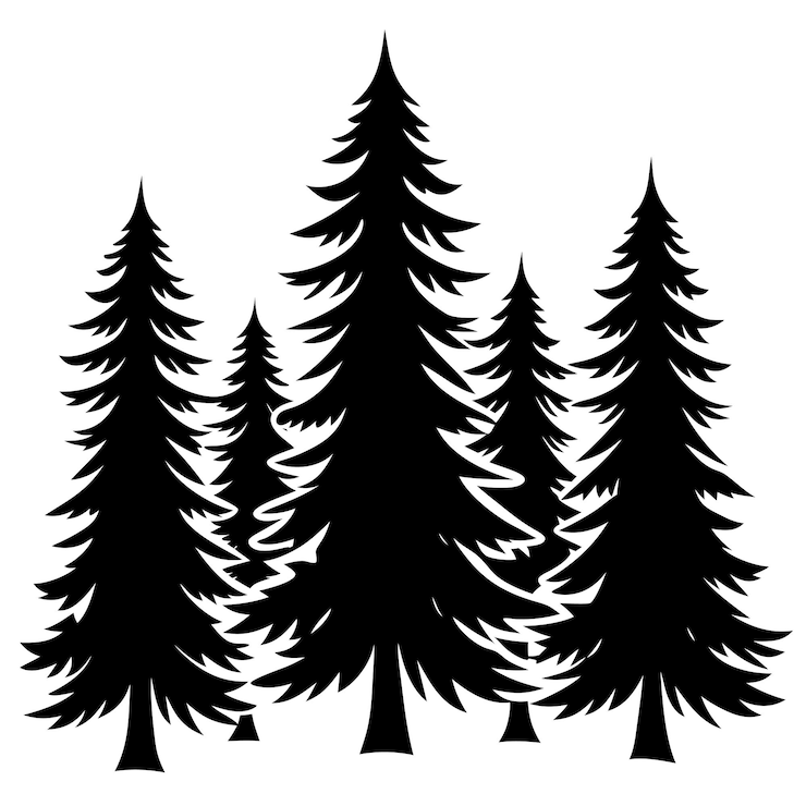 Vector pine tree vector illustration evergreen forest line art design