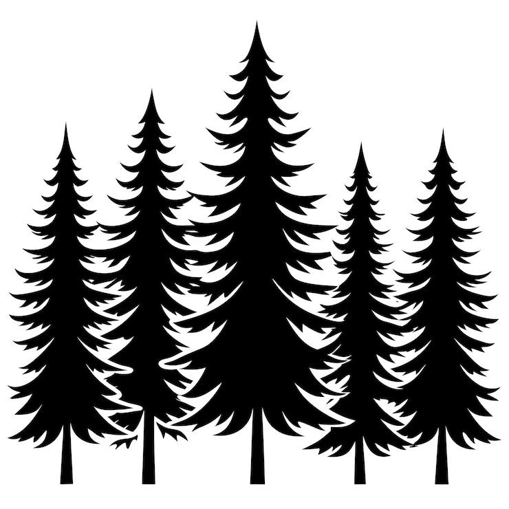 Вектор векторная иллюстрация соснового дерева evergreen forest line art design