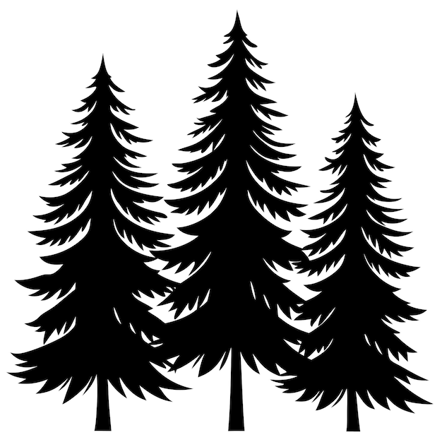 Vector pine tree vector illustration evergreen forest line art design