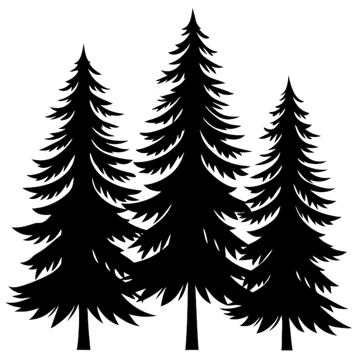 Вектор векторная иллюстрация соснового дерева evergreen forest line art design