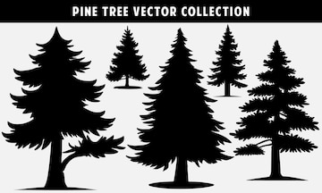 row of pine trees clip art