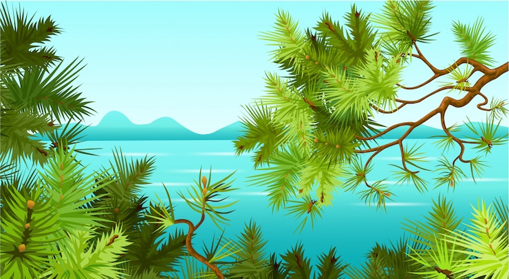 Vector pine trees in the background of the sea.