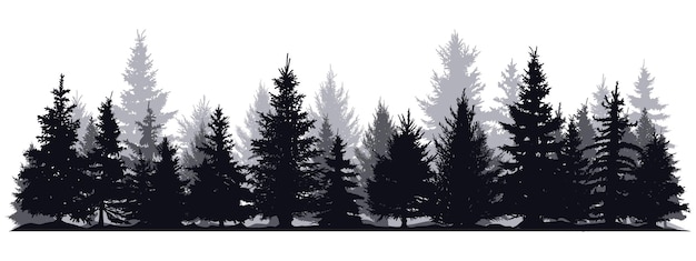 Pine trees silhouettes Evergreen coniferous forest silhouette nature spruce tree park view vector