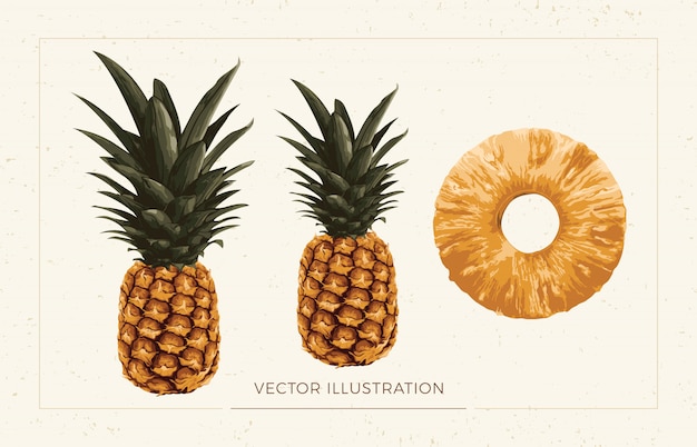 Clipart ananas.