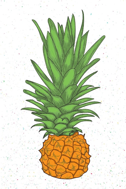 Vettore disegno vettoriale completo di colore ananas