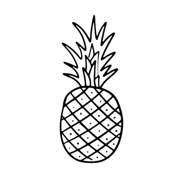 Pineapple doodle illustration