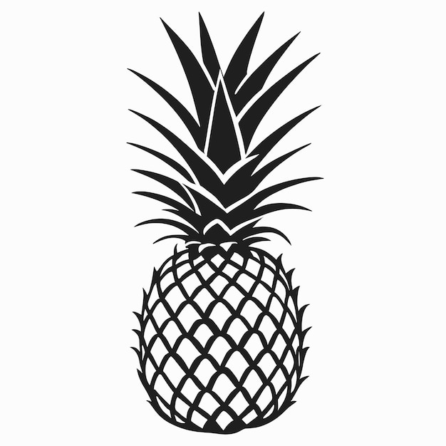 Pineapple drawing silhouette outline illustration