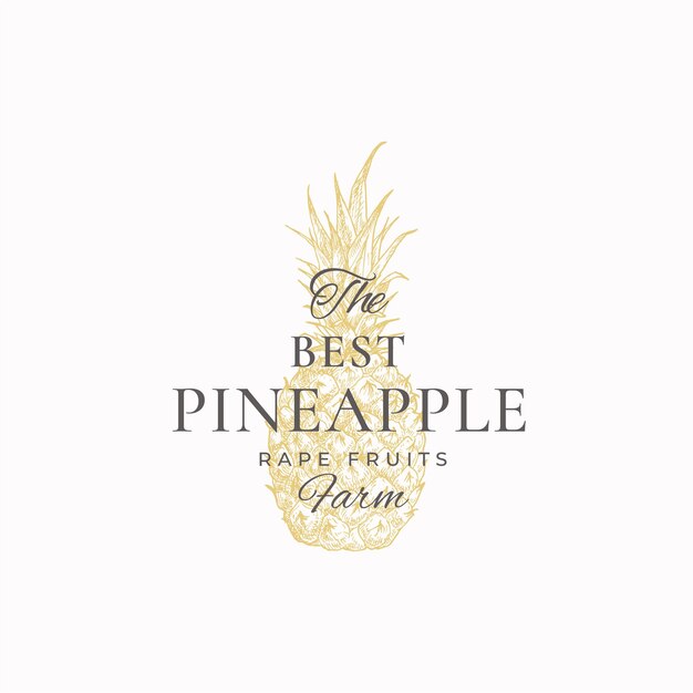 Pineapple Farms Abstract Logo Template. Hand Drawn Pineapple Sketch with Retro Typography.