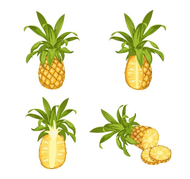 Ananas, pianta tropicale fresca