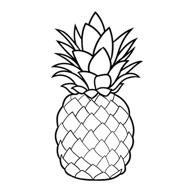 Pineapple Fruit hand drawn coloring book illustration