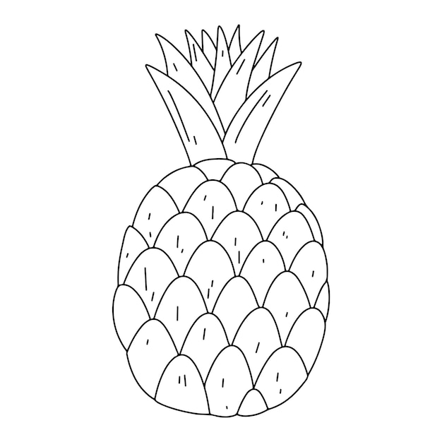 Pineapple in hand draw doodle style Isolated on a white background Vector stock illustration