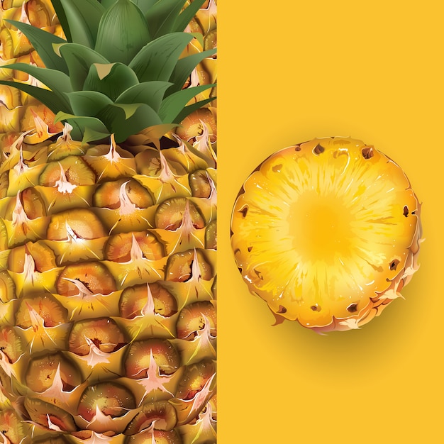 Illustrazione di ananas