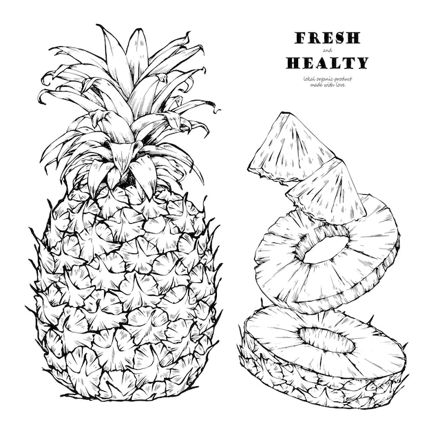 Pineapple illustration