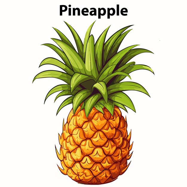 Vector pineapple mascot vector illustration