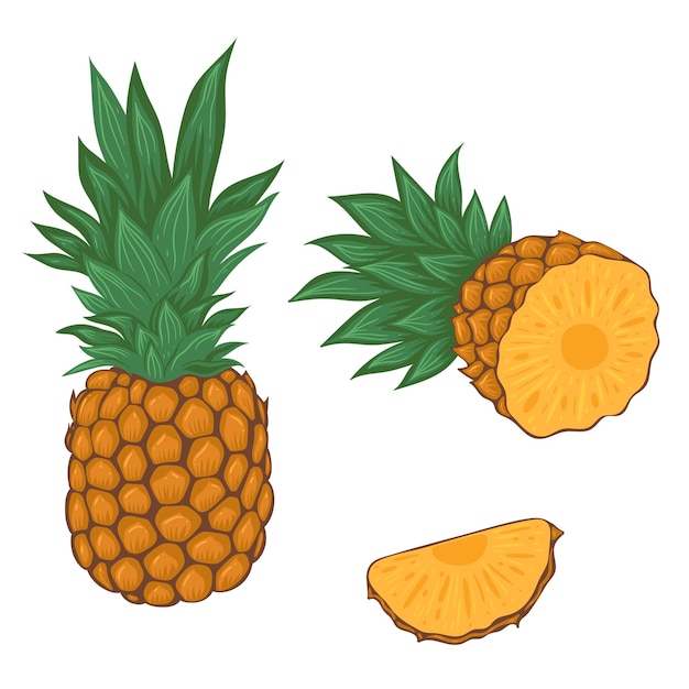 Pineapple and pineapple slices isolated on white background. vector graphics.