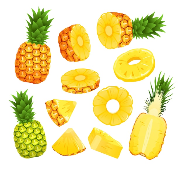 Vector pineapple set whole and half and slide cut