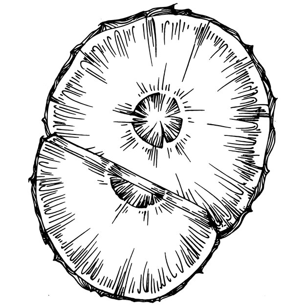 파인애플 스케치 열대 과일 장식. 과일 그림. 레트로 스타일 요소. 파인애플 스케치 감귤 장식. 빈티지 일러스트입니다.