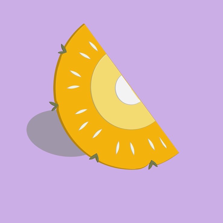 Vector pineapple slice icon cartoon illustration