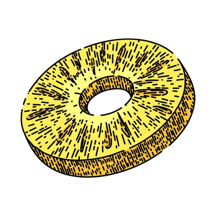 Vector pineapple slice round sketch hand drawn vector