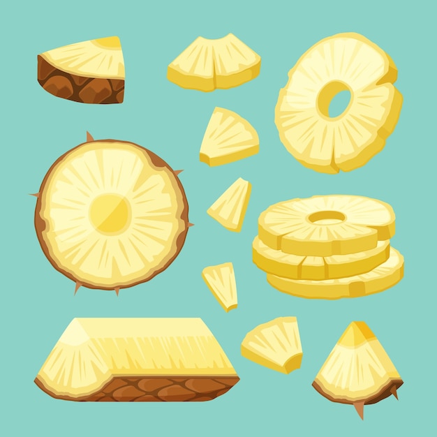 Vector pineapple sliced juicy fruit pineapples pieces vector colored healthy natural food