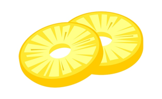 Pineapple Slices Tropical Fruit Vector illustration