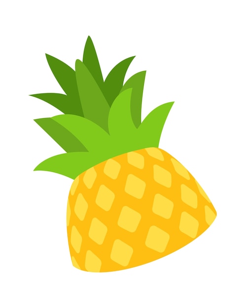 Pineapple Tropical Fruit Vector illustration