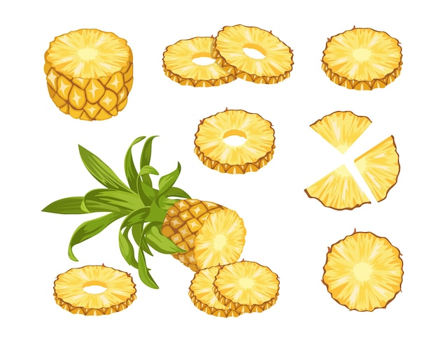 Vector pineapple tropical fruits, whole, half and sliced natural fresh plant