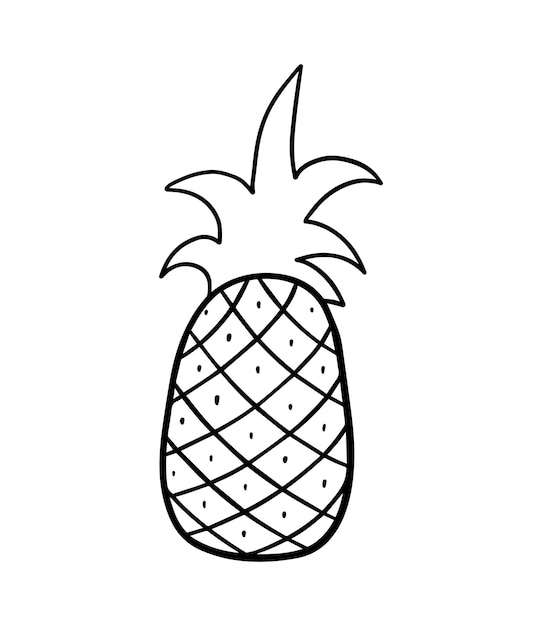 Pineapple tropical herbaceous plant food berry fruit harvest ingredient for eating doodle