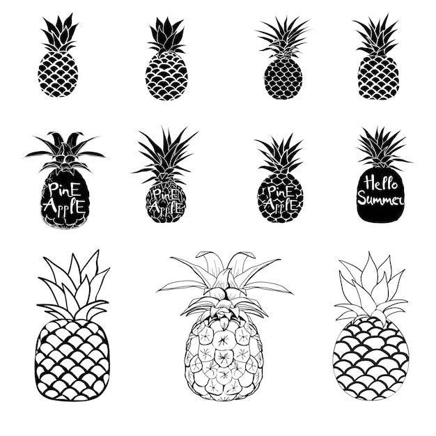 Ananas vettoriale in bianco e nero tre diversi contorni illustrazione vettoriale