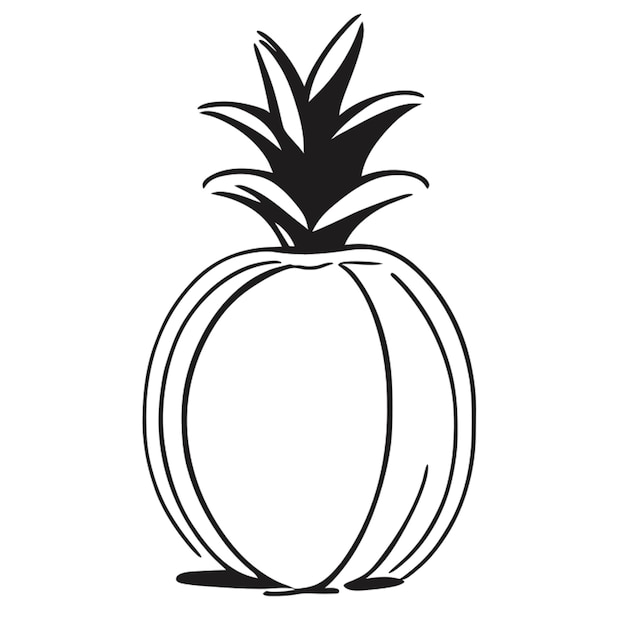 pineapple vector illustration doodle line art