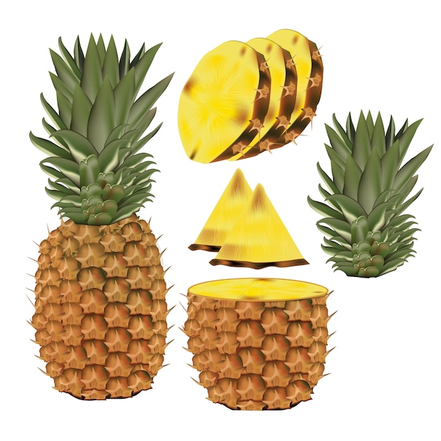 Vector pineapple vector kunst