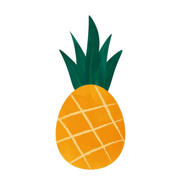 Pineapple watercolor illustration Fresh fruit vector icon