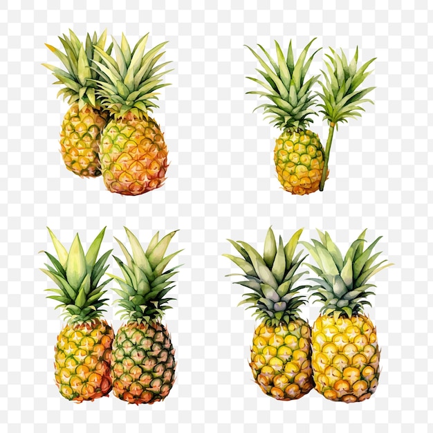 Pineapple watercolor isolated graphic transparent