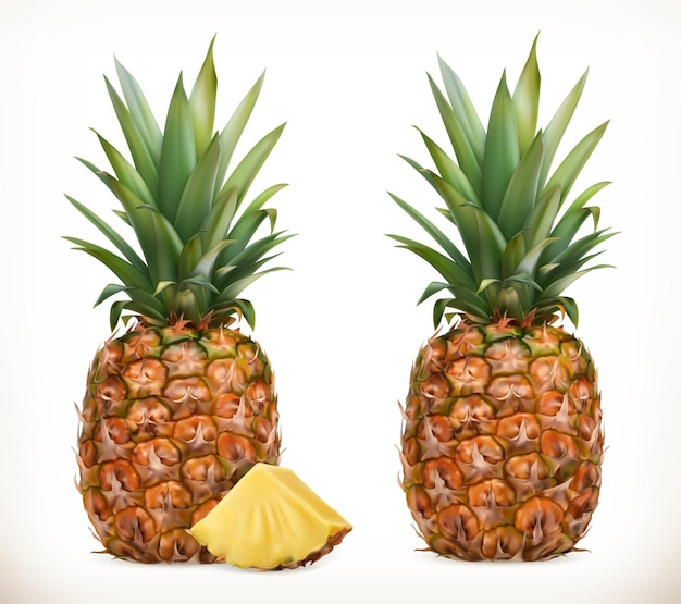 Vettore ananas. intero e pezzi. frutta dolce. set di icone. illustrazione realistica