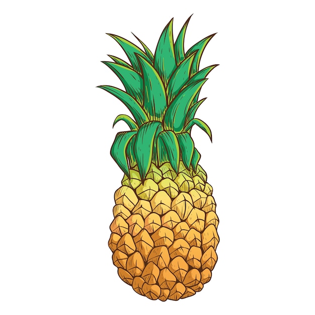 Pineapple With Color and Outline on White Background