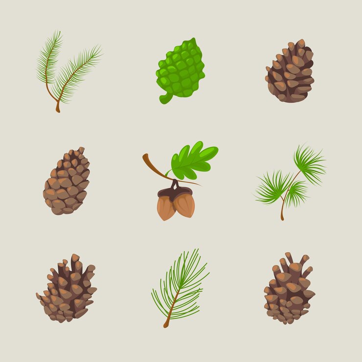 Vector pinecone icon collection