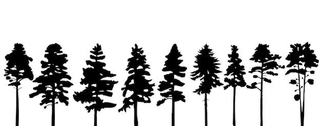 Pines fir trees set silhouette design vector isolated