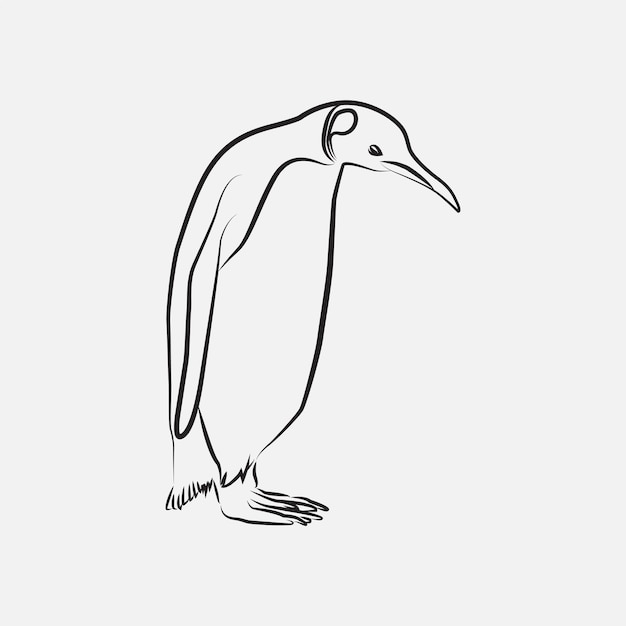 Pinguïn vogel lijntekeningen