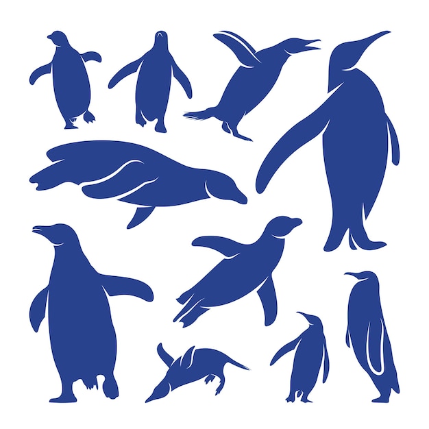 Pinguïn vogel logo ontwerp vector pictogram symbool sjabloon illustratie