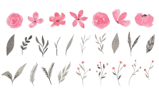 ベクトル ピンクとグレーの花の水彩クリップアート