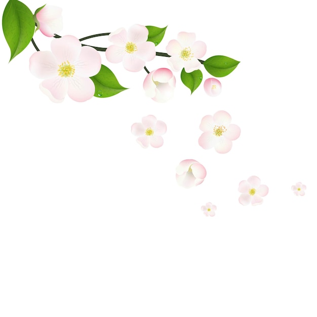 Vector pink apple tree flowers border,