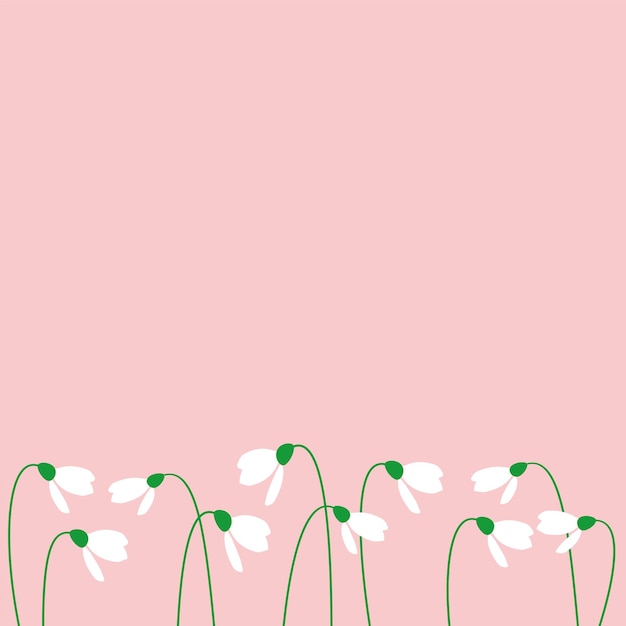 Vector pink background with white snowdrops, flat vector