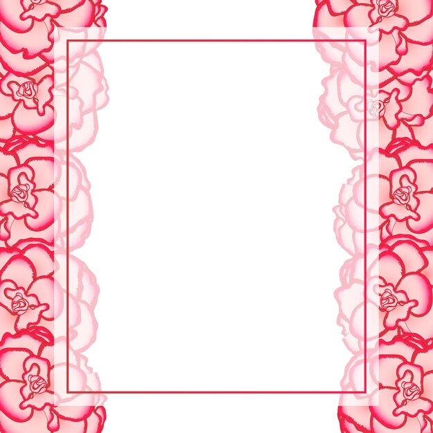 Vector pink begonia flower, picotee first love banner card border
