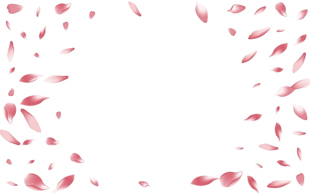 Vector pink bloom frame. leaf falling. sakura texture.